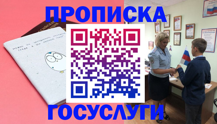 временная регистрация надежно в Елизово